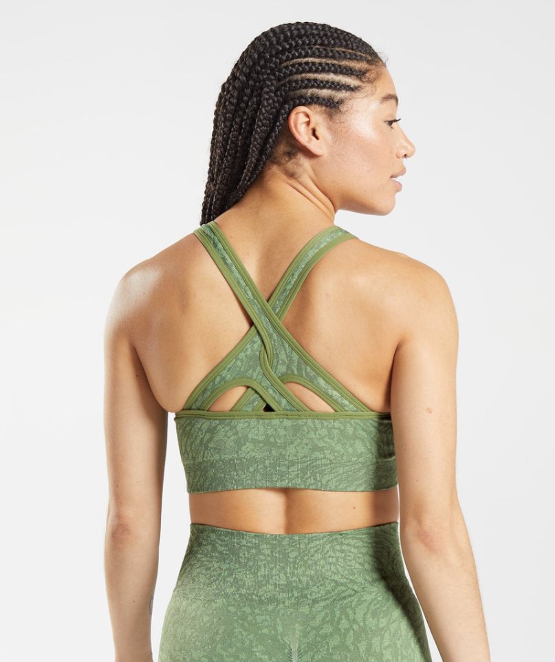 Women's Gymshark Adapt Animal Seamless Sports Bra Green | NZ 2DOJTL